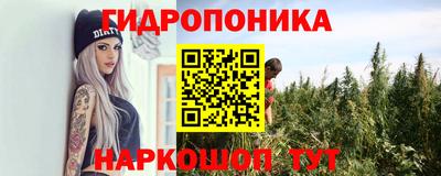 дмт Заволжье
