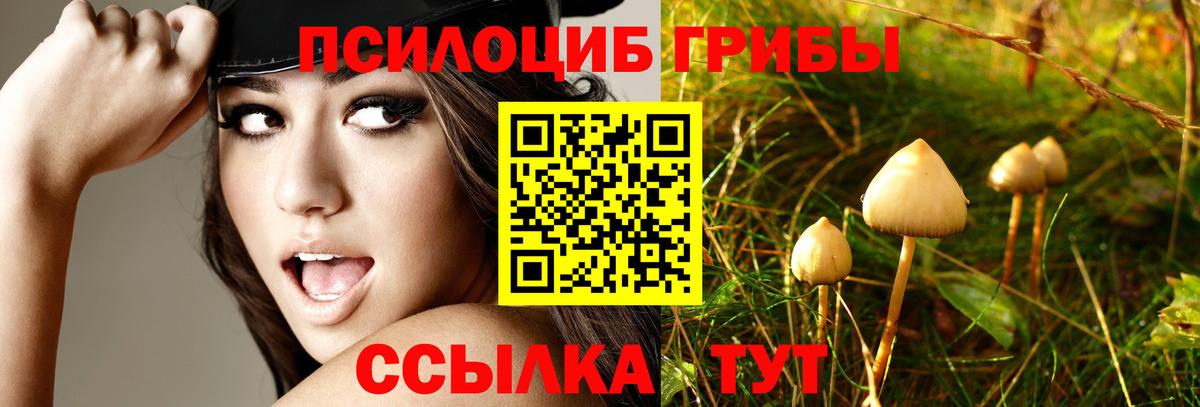 Псилоцибиновые грибы GOLDEN TEACHER  Вход с VPN  где найти наркотики  Миасс 